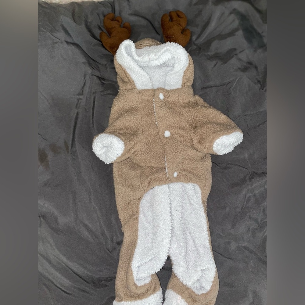 Doggie reindeer pjs
